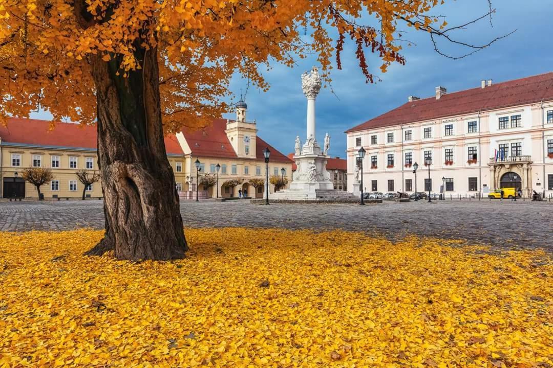 Apartment Aurelius - Private Parking Osijek