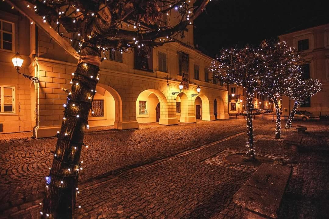 Aurelius - Private Parking Apartmán *